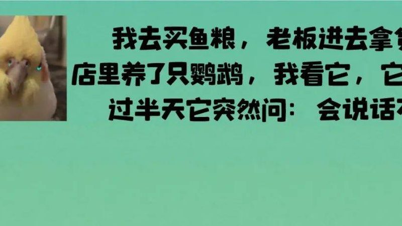 广州膨化食品批发市场品牌解析：揭秘品质与选择