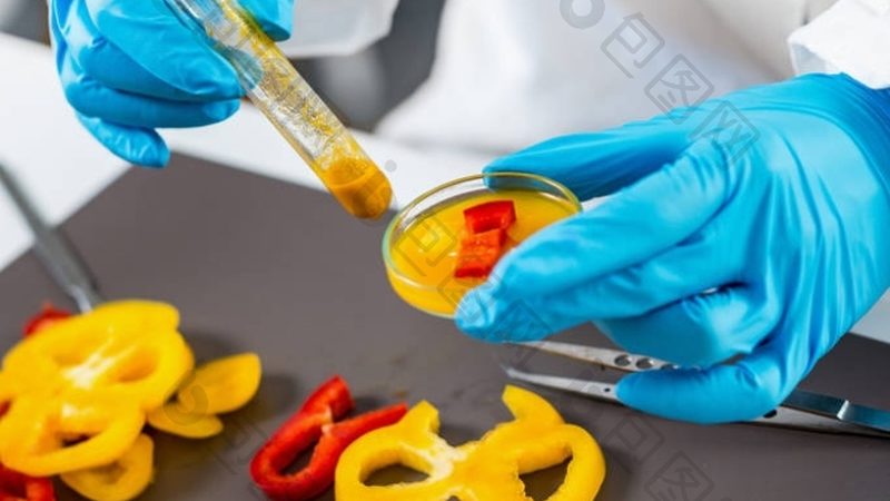 用中筋面粉制作面包的五大关键步骤**